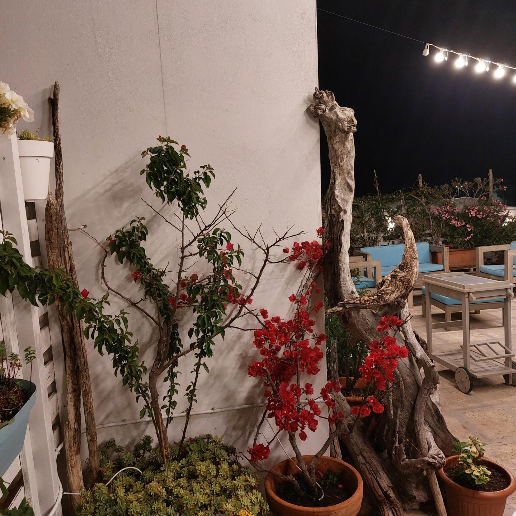 Mandorleolio Bed & Breakfast Polignano a Mare Exterior foto